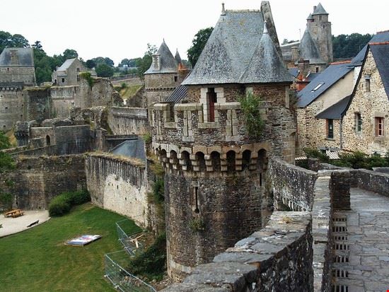  Fougères S.Möller - Pubblico dominio S.Möller