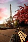 parigi parigi