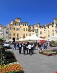 piazza dell anfiteatro lucca