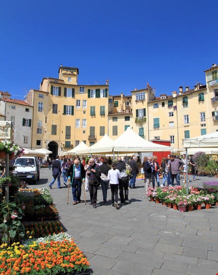  Lucca ValeStock / Shutterstock.com ValeStock / Shutterstock.com