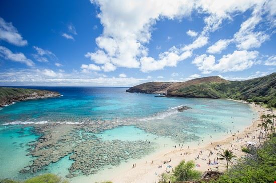  Honolulu LittleStocker - Shutterstock.com LittleStocker