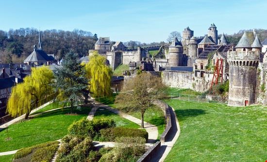  Fougères Brykaylo Yuriy - Shutterstock.com Brykaylo Yuriy
