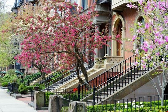 Back Bay Boston Jorge Salcedo - Shutterstock.com Jorge Salcedo