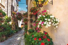 Spello