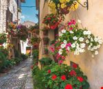 Spello Spello