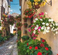 Spello Spello