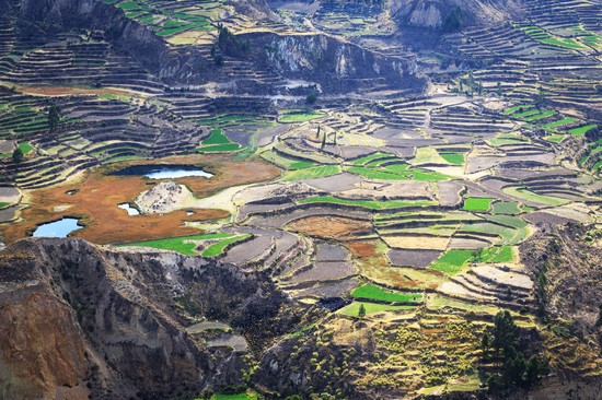 Canyon del Colca