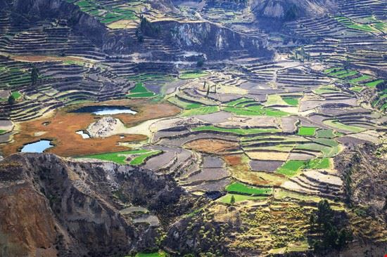 Canyon del Colca Arequipa sunsinger - Shutterstock.com sunsinger