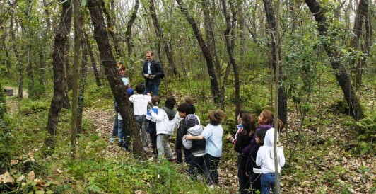 Fiaba nel Bosco
