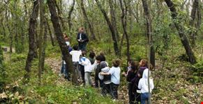 Fiaba nel Bosco