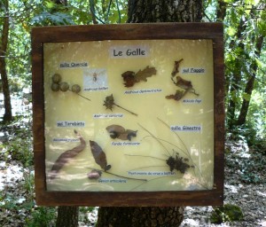 Sulle Tracce della Natura