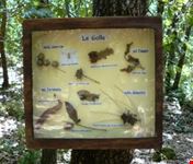 Sulle Tracce della Natura