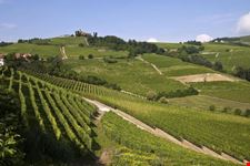 langhe