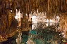 palma di maiorca grotte del drago