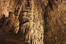 palma di maiorca grotte del drago