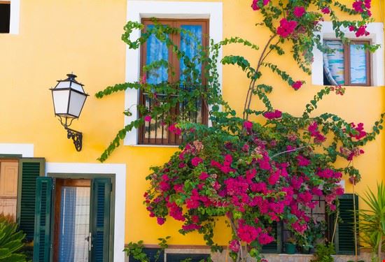 Centro storico Palma di Maiorca holbox - Shutterstock.com holbox