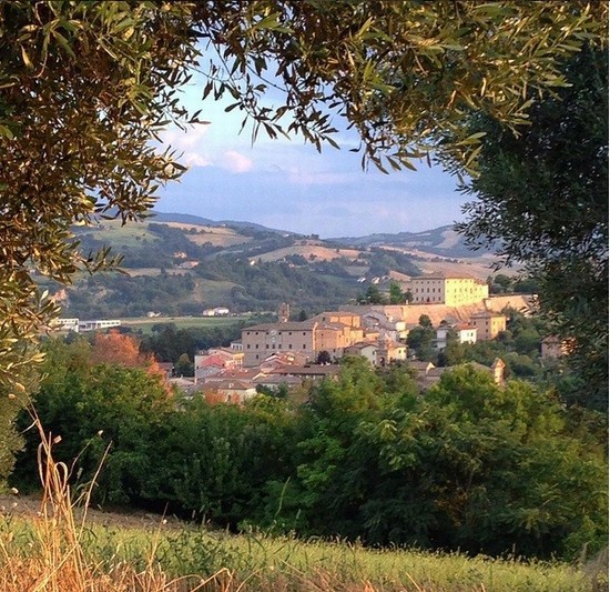 Panorama