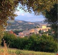 Panorama Panorama