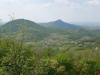 colli euganei
