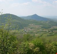 colli euganei colli euganei