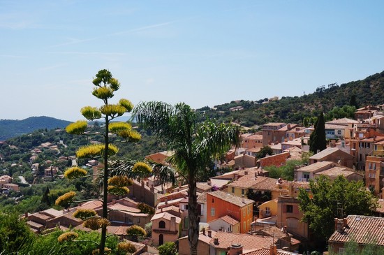 Bormes Las Mimosas
