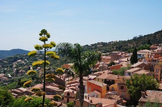  Bormes-les-Mimosas EQRoy / Shutterstock.com EQRoy / Shutterstock.com