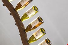 Riesling
