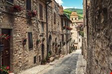 assisi assisi