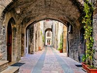 assisi assisi