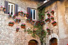 assisi assisi