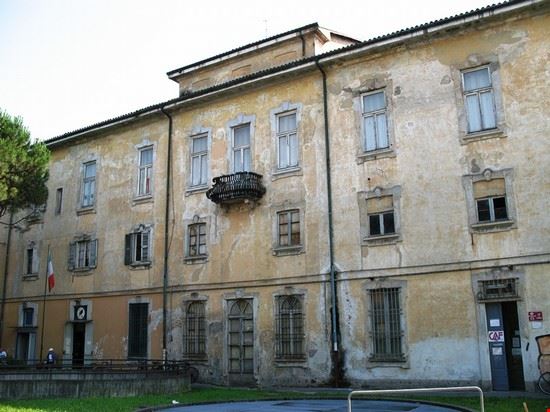 Palazzo Visconti - fiore - fiore - Creative Commons