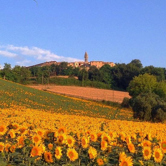 San Vito sul Cesano