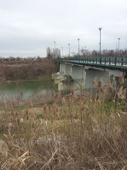  Vigonovo  