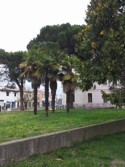 Parco