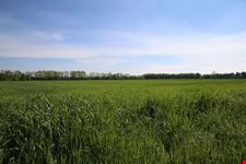 parco alto milanese