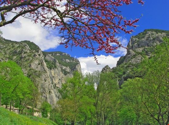 Gola del Furlo Fermignano luri - Shutterstock.com luri
