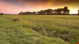 bruges polder
