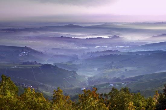 Paesaggio vitivinicolo piemontese - Shutterstock.com - Shutterstock.com - Shutterstock.com
