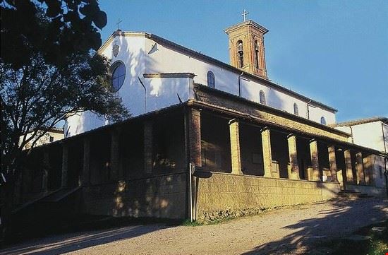 Santuario di Santa Maria delle Vertighe - Formica rufa - Formica rufa - Formica rufa