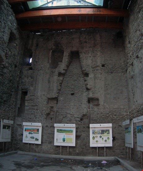  Nus Patafisik - CC BY SA 3.0 Patafisik