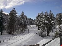 parco nazionale della sila
