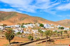 fuerteventura pajara
