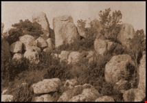 Monte Cocchero (isola d'Elba).jpg