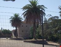 tenuta di collecchio