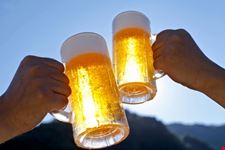 anversa birra