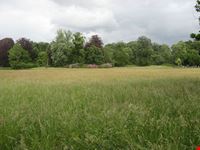 Giardini