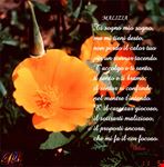 MALIZIA