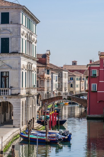 Chioggia