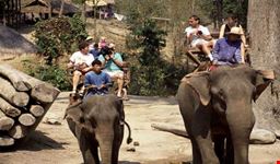 Elephant riding, Rummit Karen Village, Chiang Rai