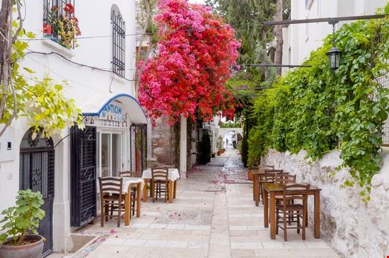 Bodrum Nejdet Duzen / Shutterstock.com Nejdet Duzen / Shutterstock.com